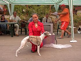 honden fokkers en hond foto's