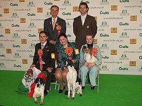 honden fokkers en hond foto's