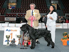 honden fokkers en hond foto's