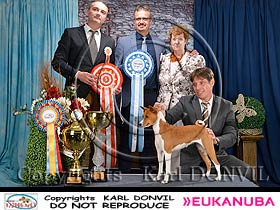 honden fokkers en hond foto's