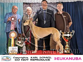 honden fokkers en hond foto's