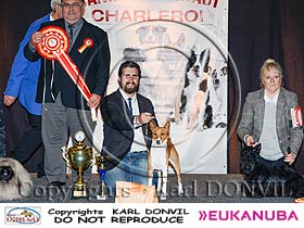 honden fokkers en hond foto's