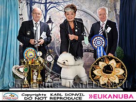 honden fokkers en hond foto's