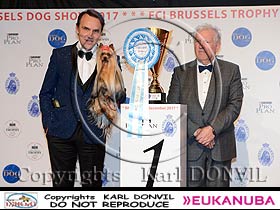 honden fokkers en hond foto's