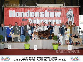 honden fokkers en hond foto's